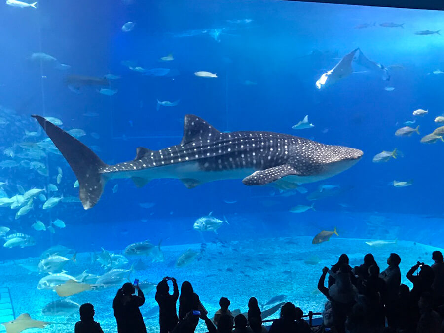 水族館